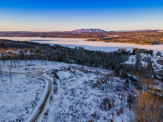 Listing photo 3 for LOT16 Birch Cir, Harrison ME 04040