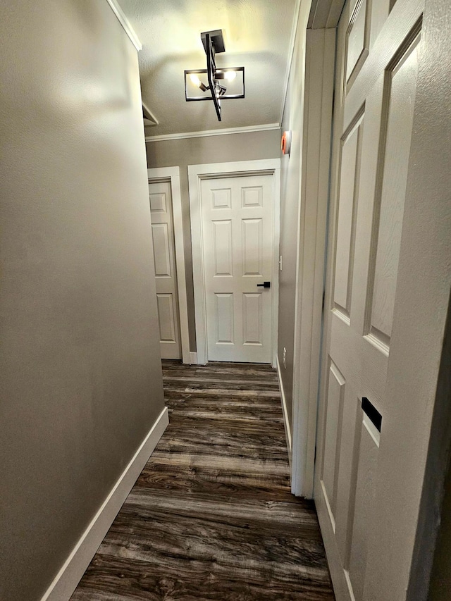 hallway with crown molding and dark wood-type flooring