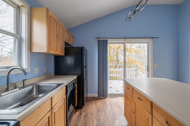 kitchen with a healthy amount of sunlight, light hardwood / wood-style flooring, and vaulted ceiling