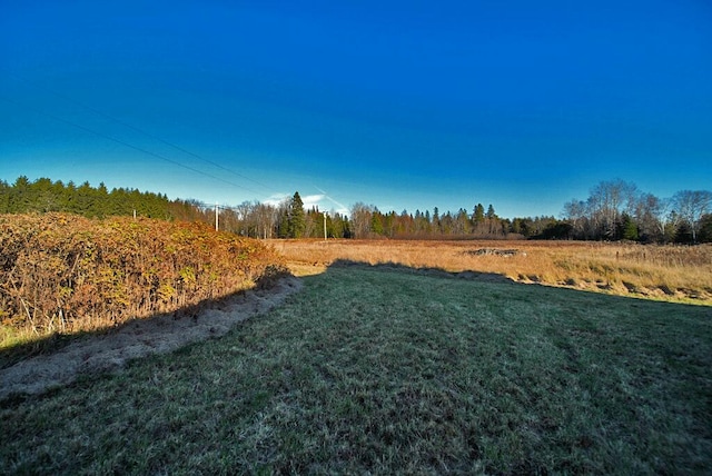 view of yard with a rural view