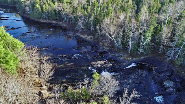 view of local wilderness