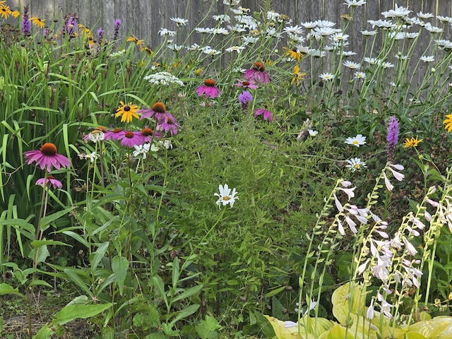 11 Winter St, Lisbon, ME 04250 - photo 21
