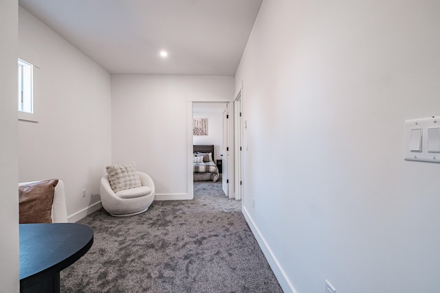 sitting room with carpet floors