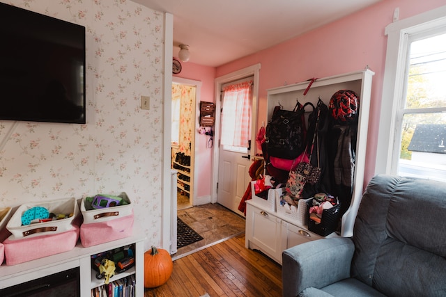 mudroom featuring dark hardwood / wood-style floors and a healthy amount of sunlight