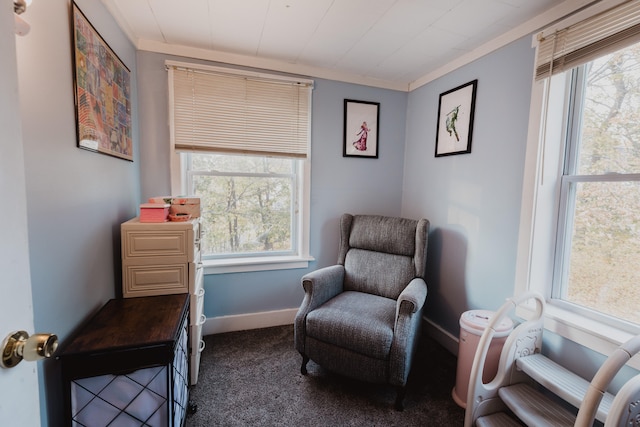 sitting room with a healthy amount of sunlight, carpet flooring, and crown molding