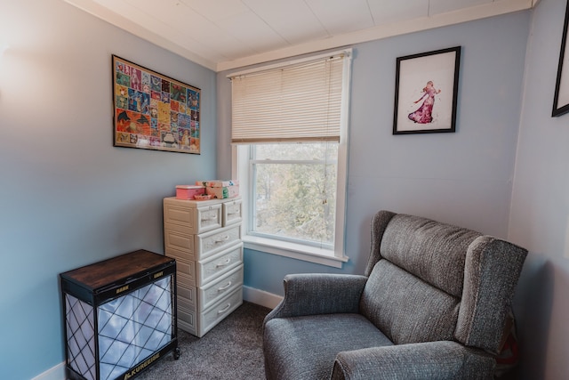 living area featuring carpet floors