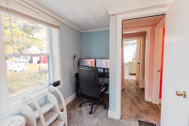 home office featuring carpet flooring and ornamental molding