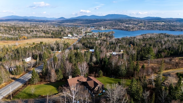 drone / aerial view with a water and mountain view