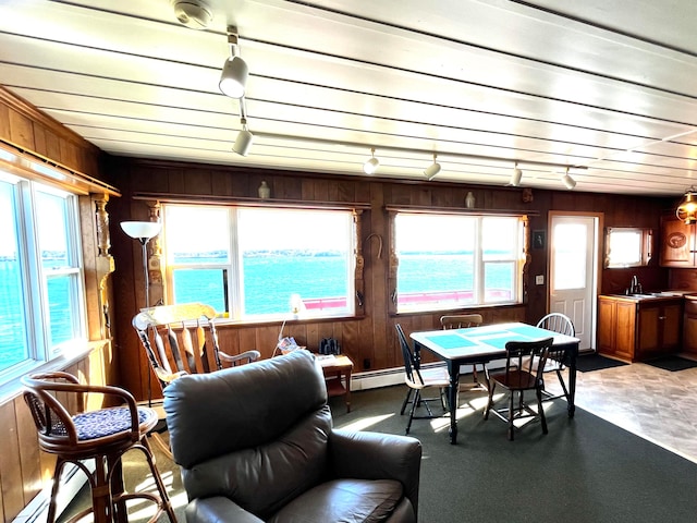 sunroom with rail lighting, a water view, and sink