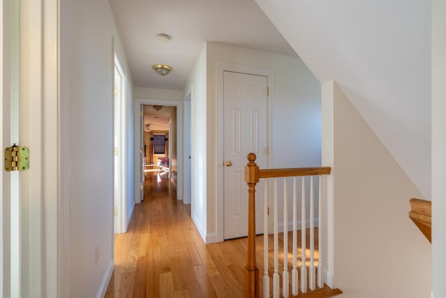 hallway featuring light wood-type flooring and a healthy amount of sunlight