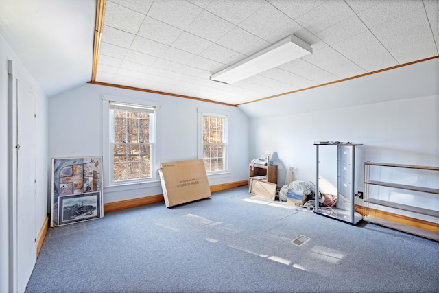 additional living space featuring carpet floors and vaulted ceiling