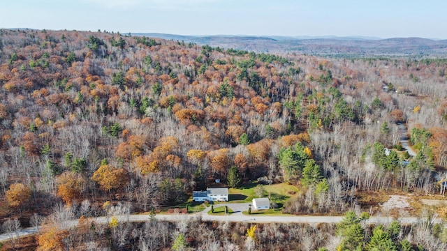 drone / aerial view featuring a mountain view