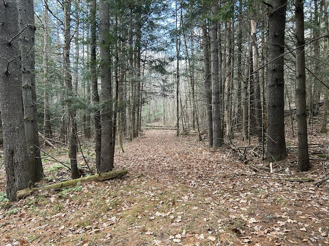 5-84B-2 Stream View Dr, Skowhegan, ME 04976