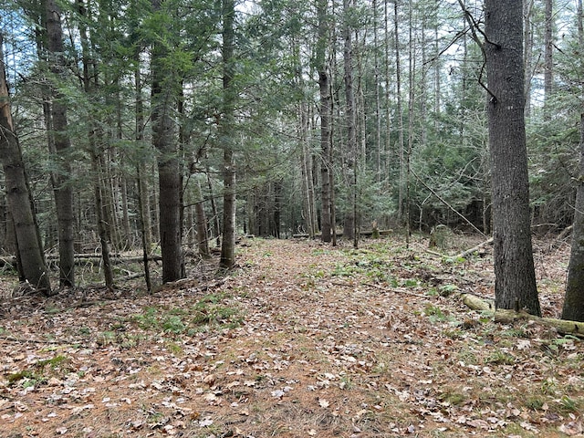 5-84B-2 Stream View Dr, Skowhegan, ME 04976