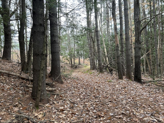 5-84B-2 Stream View Dr, Skowhegan, ME 04976