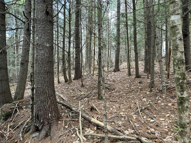 5-84B-2 Stream View Dr, Skowhegan, ME 04976