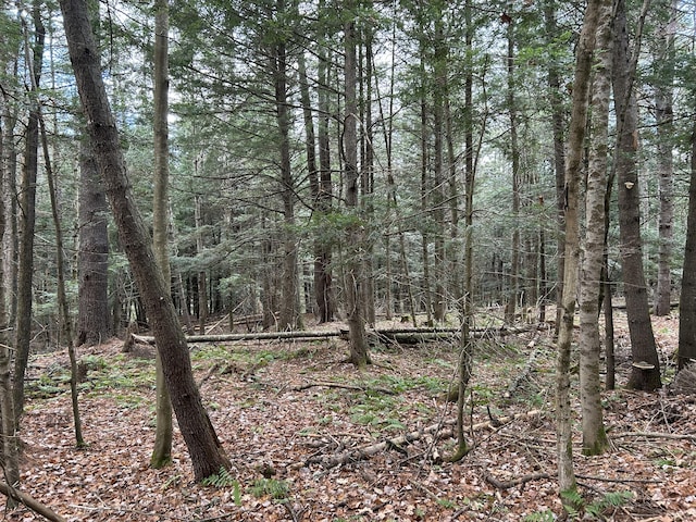 5-84B-2 Stream View Dr, Skowhegan, ME 04976
