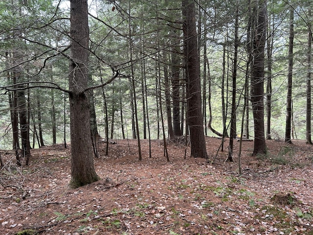5-84B-2 Stream View Dr, Skowhegan, ME 04976