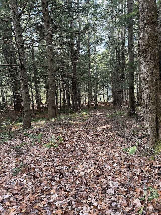 5-84B-2 Stream View Dr, Skowhegan, ME 04976