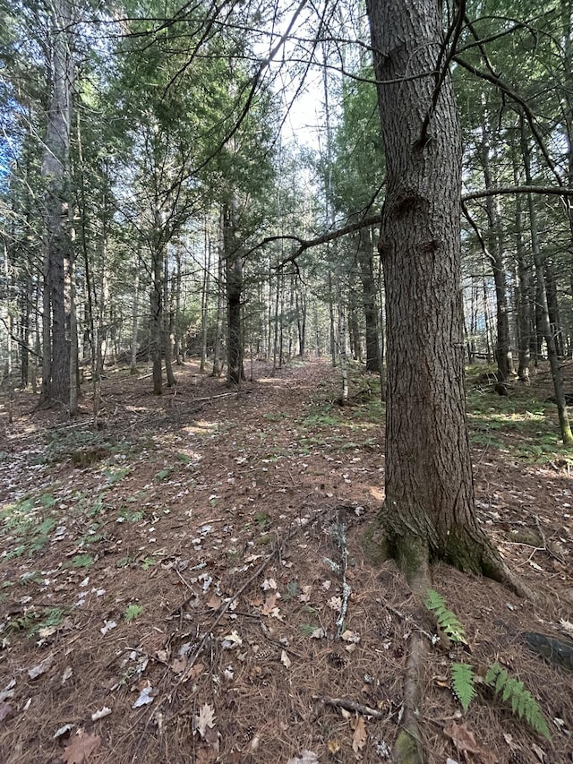 5-84B-2 Stream View Dr, Skowhegan, ME 04976