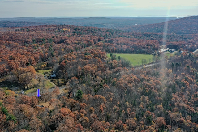 bird's eye view featuring a mountain view