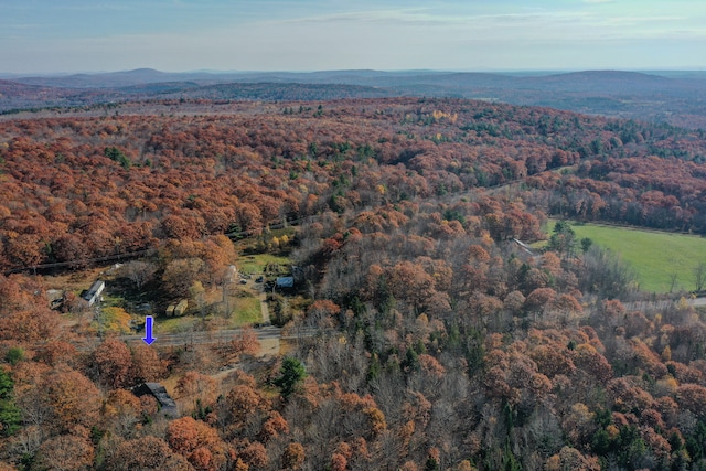 drone / aerial view with a mountain view