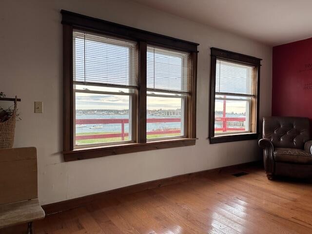 living area featuring a wealth of natural light and light hardwood / wood-style floors