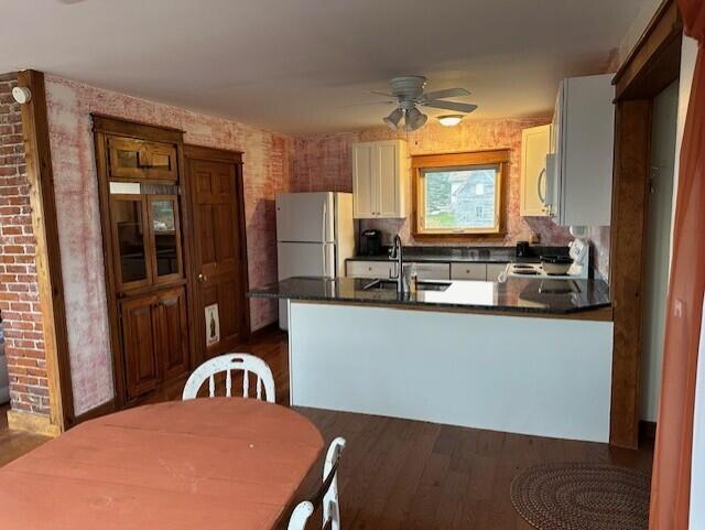 kitchen with dark wood-type flooring, kitchen peninsula, sink, ceiling fan, and appliances with stainless steel finishes