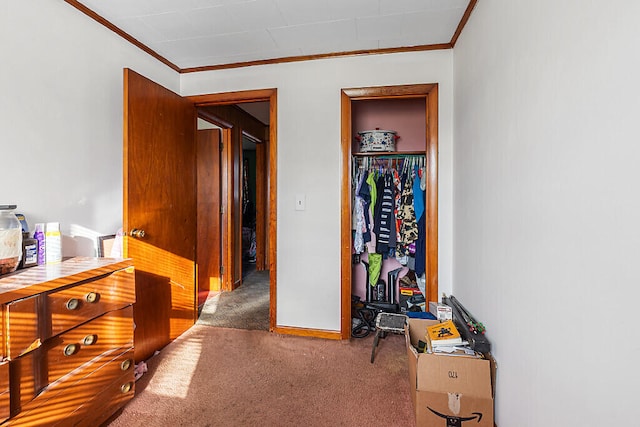 bedroom with a closet, crown molding, and carpet