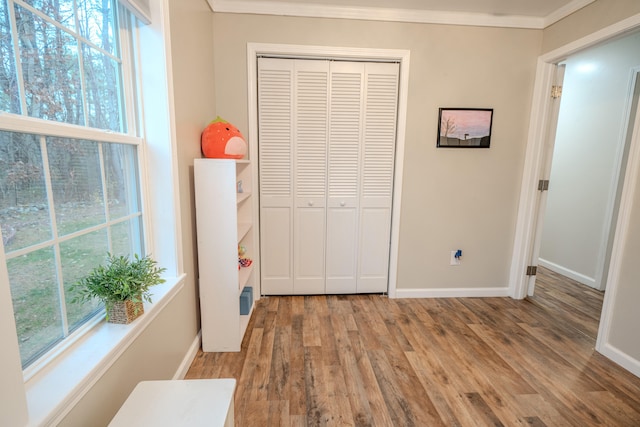 unfurnished bedroom featuring multiple windows, a closet, light hardwood / wood-style flooring, and ornamental molding