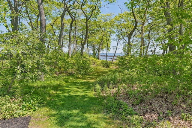 41 Old Mill Rd, Cape Elizabeth, ME 04107 - photo 43