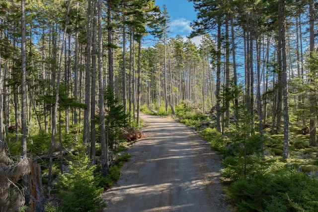 1700 Tremont Rd, Tremont, ME 04674 - view of dirt / gravel road with a forest view