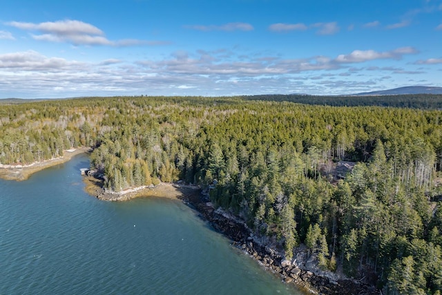 drone / aerial view featuring a mountain view