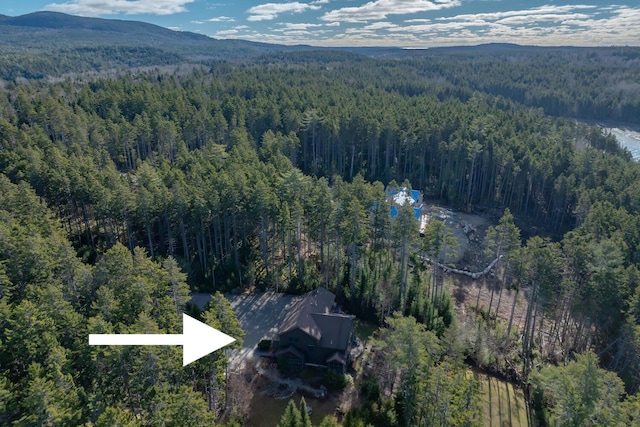 birds eye view of property with a mountain view