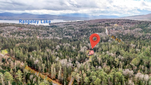 658 Mingo Loop Rd, Rangeley, ME 04970 - view of property location with a heavily wooded area and mountains