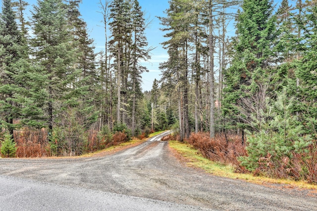 658 Mingo Loop Rd, Rangeley, ME 04970 - view of dirt / gravel road featuring a view of trees