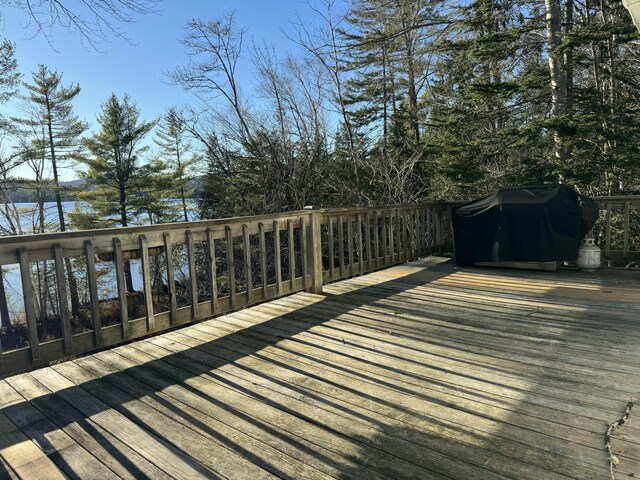 49 N Shore Rd, Blanchard Twp, ME 04406 - photo 44