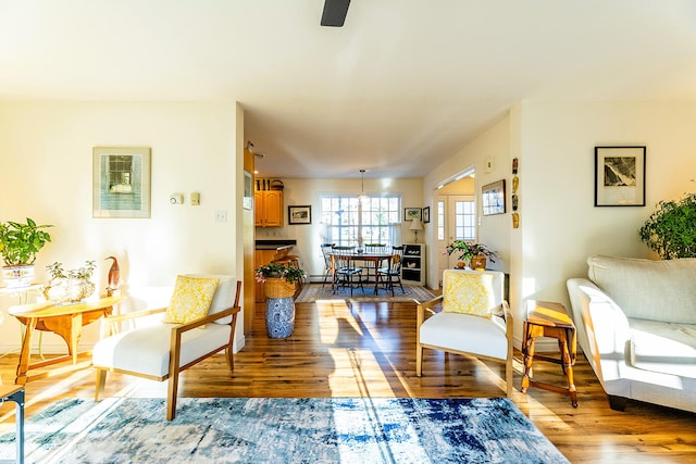 living room featuring hardwood / wood-style flooring