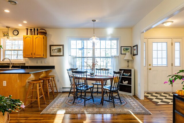 dining area with a wealth of natural light, dark hardwood / wood-style flooring, and sink