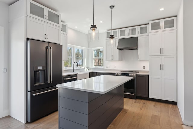 43 Rose Douglas Ln, Brunswick, ME 04011 - kitchen featuring stainless steel appliances, under cabinet range hood, light wood-style flooring, and a kitchen island