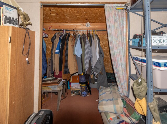 spacious closet with carpet