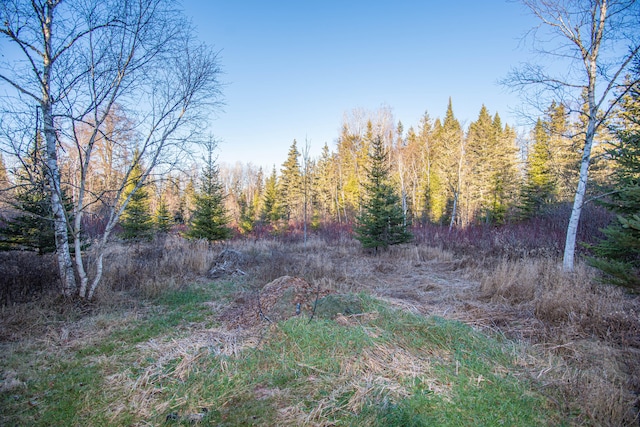 view of local wilderness