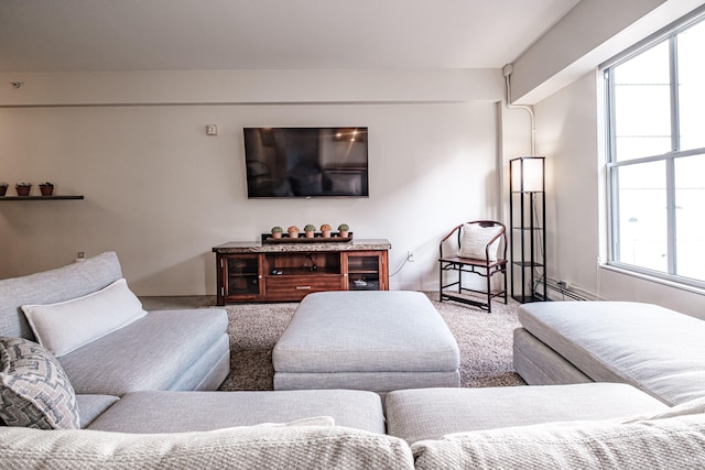 living room with carpet