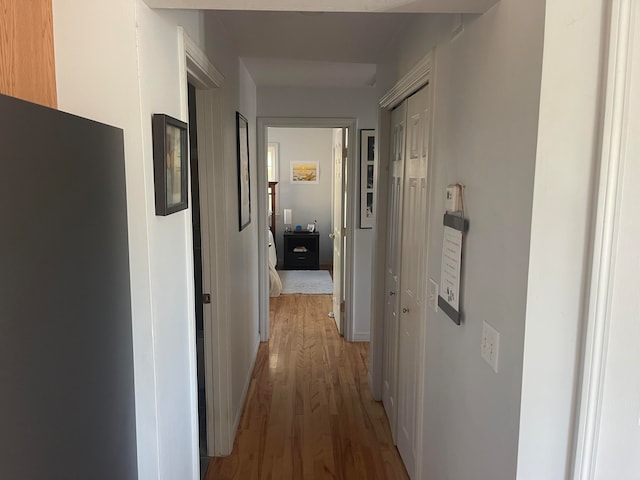 hallway featuring wood-type flooring