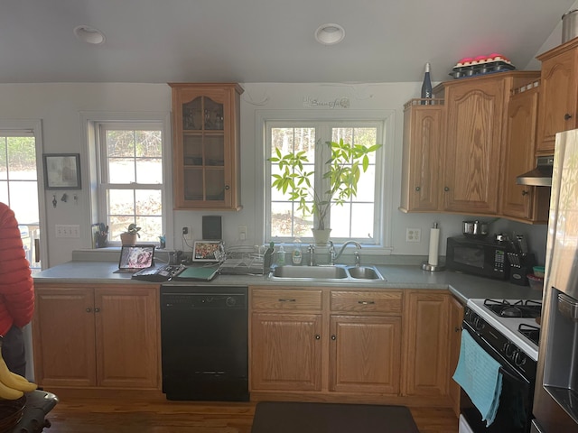 kitchen with hardwood / wood-style floors, sink, extractor fan, and black appliances