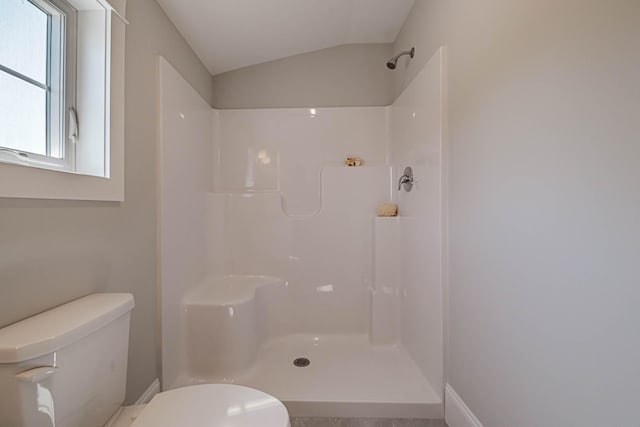 bathroom with walk in shower, lofted ceiling, and toilet