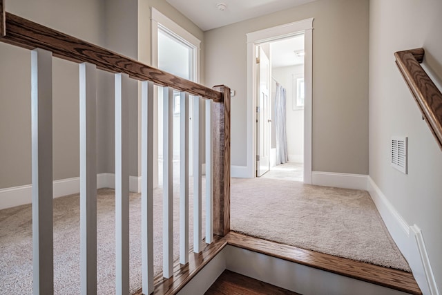 stairs featuring carpet flooring and a healthy amount of sunlight