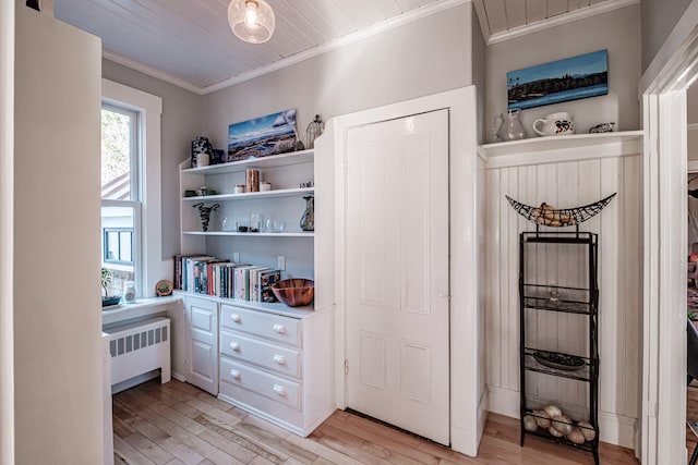 pantry featuring radiator