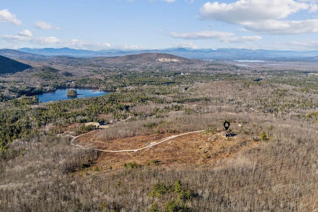 birds eye view of property featuring a water and mountain view