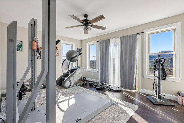 exercise area with ceiling fan, a mountain view, wood-type flooring, and a wealth of natural light